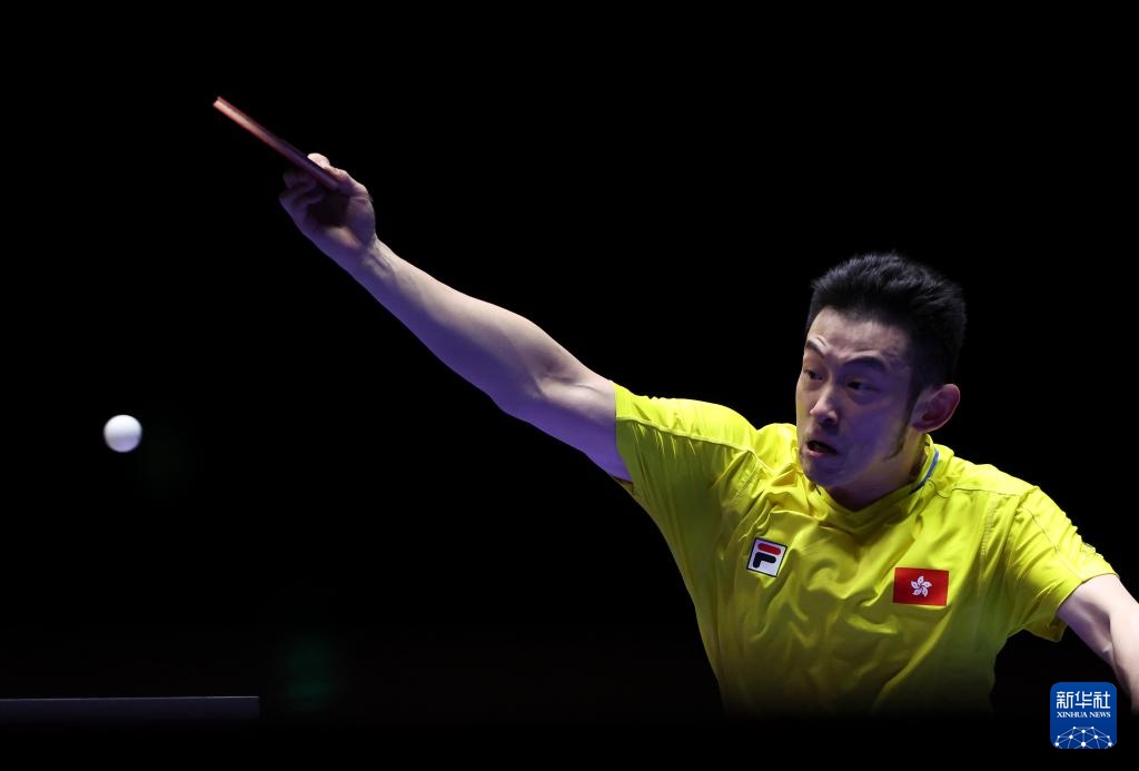 本文将深入 本文将深入